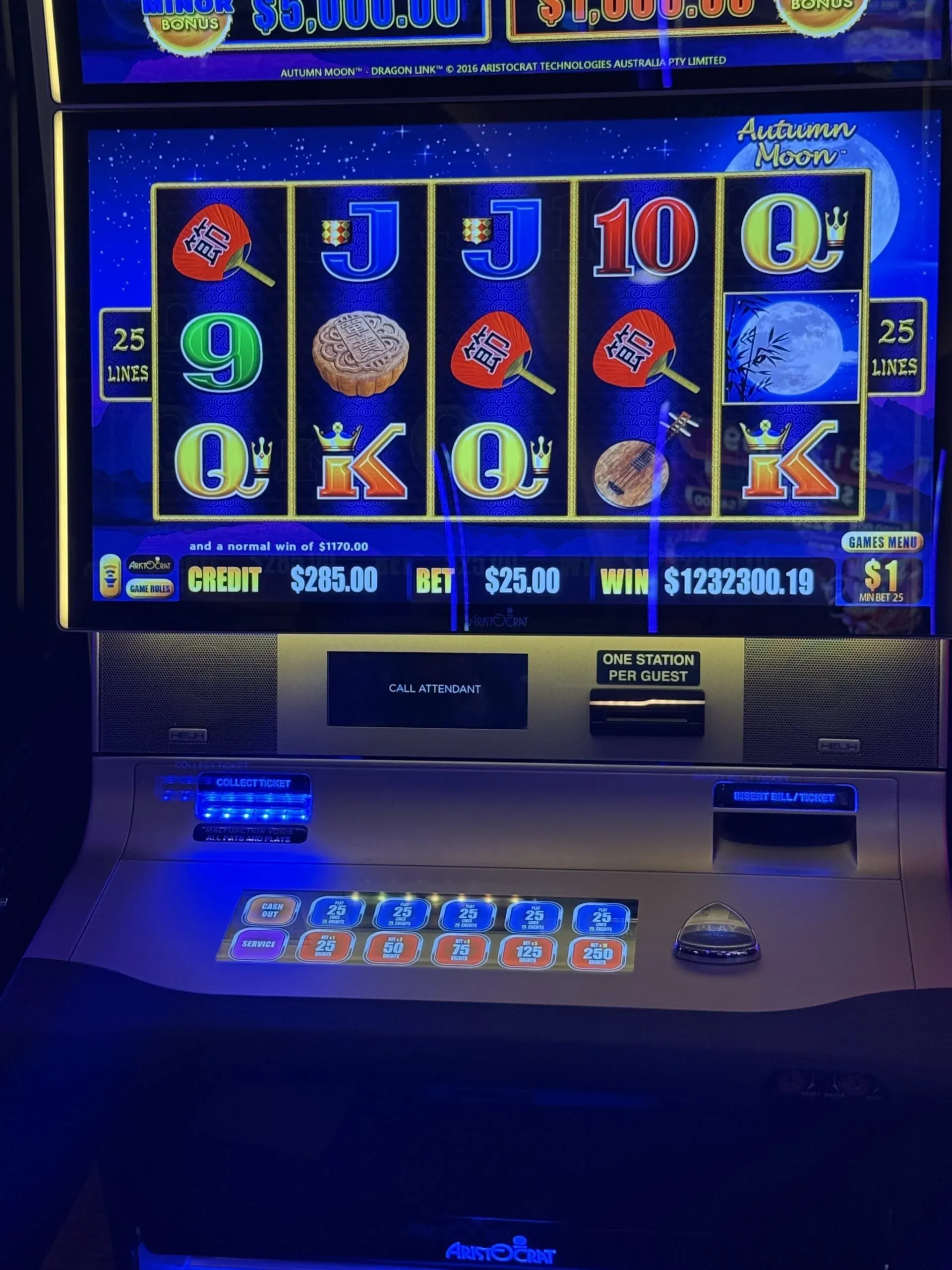 Live casino atmosphere